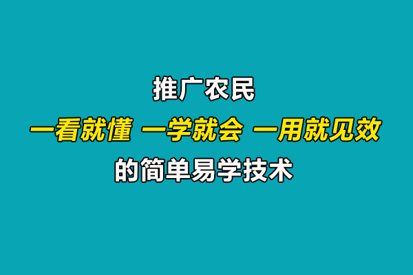 引導(dǎo)農(nóng)民合理施肥用藥,推廣一看就懂、一學(xué)就會(huì)、一用就見(jiàn)效的技術(shù)